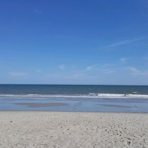 Meet your Posher, Sharee